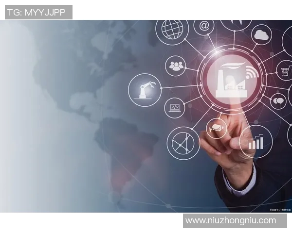 探索vs设置格网的最佳实践与技巧提升开发效率的全面指南